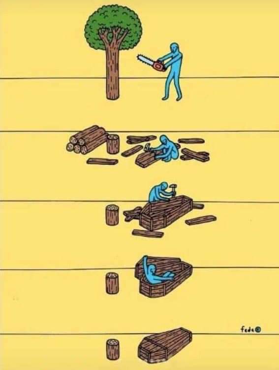 BiologoRangel's tweet photo. Uma imagem vale mais que mil palavras. https://t.co/CybTmEl5mz