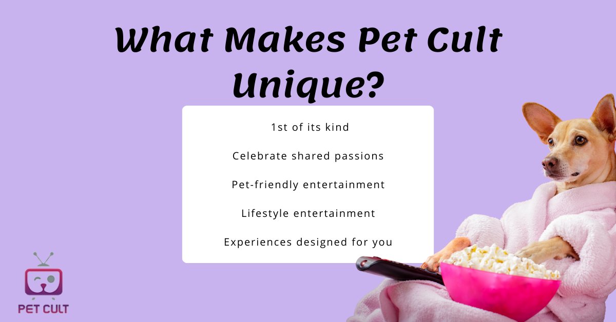 PetCultMedia's tweet photo. What Makes Pet Cult Unique? Check it out.
#petcultmedia #petapp #petcommunity #petentertainment https://t.co/TGnDs0aHTj