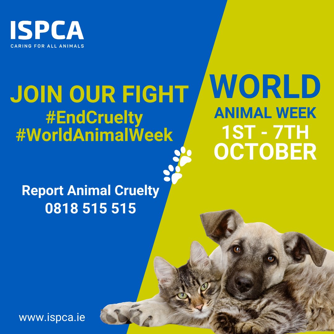 nspca_longford's tweet photo. It's near the end #WorldAnimalWeek and it is also the final day to enter our amazing Facebook competition, kindly sponsored by our friends in @LoughRynnCastle! Check out how you can enter here: https://t.co/roSYYF9q9F https://t.co/yQXf72RnvG