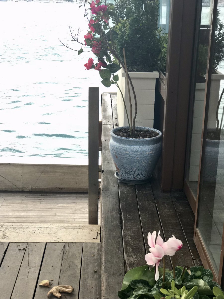 Rbbilic's tweet photo. dünki setin olduğu yere geldim ama maalesef kimse yok ve anahtar saksının altında değil  #SonYaz https://t.co/QYML61s7O0