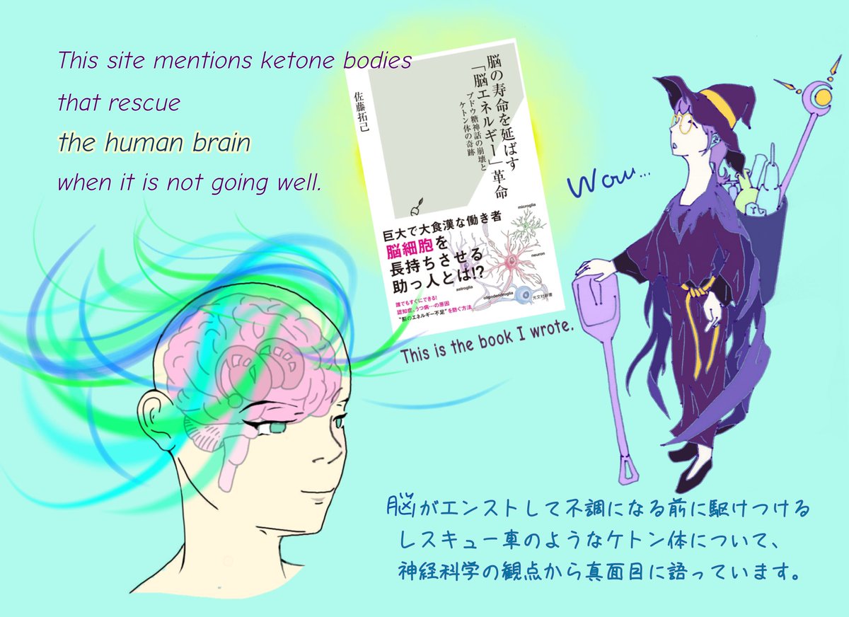 佐藤拓己 Takumi Satoh 脳をケトン体とブドウ糖のハイブリッドで駆動せよ Dromaeozz Twitter