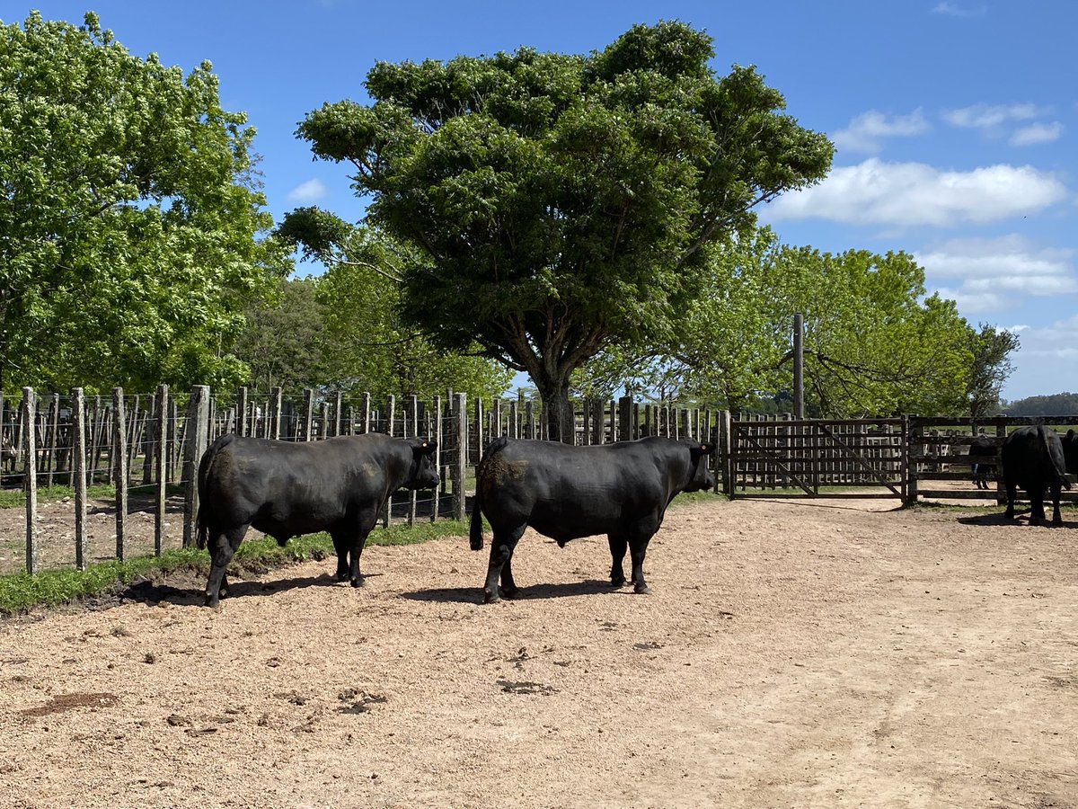 Martin Tafernaberry tweet media