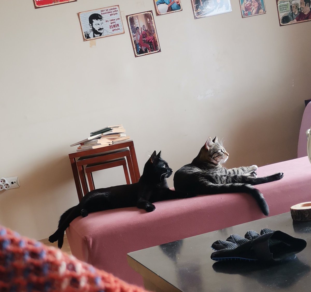 Etrafımızda dönen kahpelikleri izliyoruz..