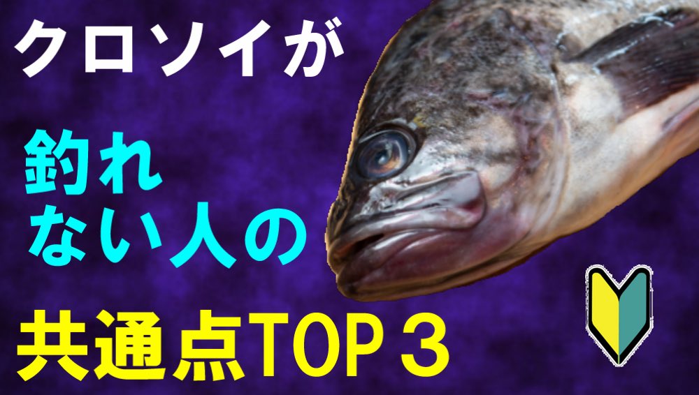 Ozaki クロソイ最高 Twitter