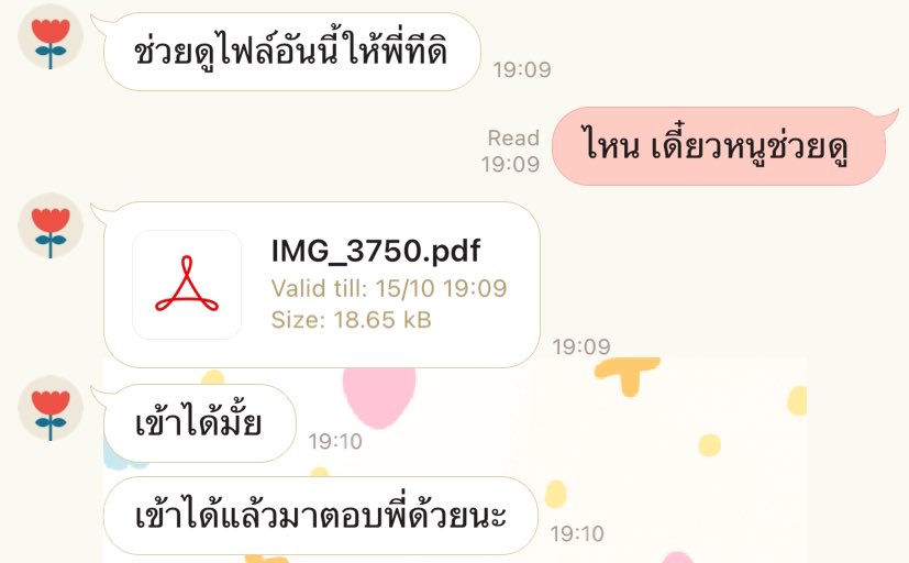 ˗ˏˋ𝙣𝙖𝙣𝙣𝙣𝙣 𓂃ꕤ tweet media