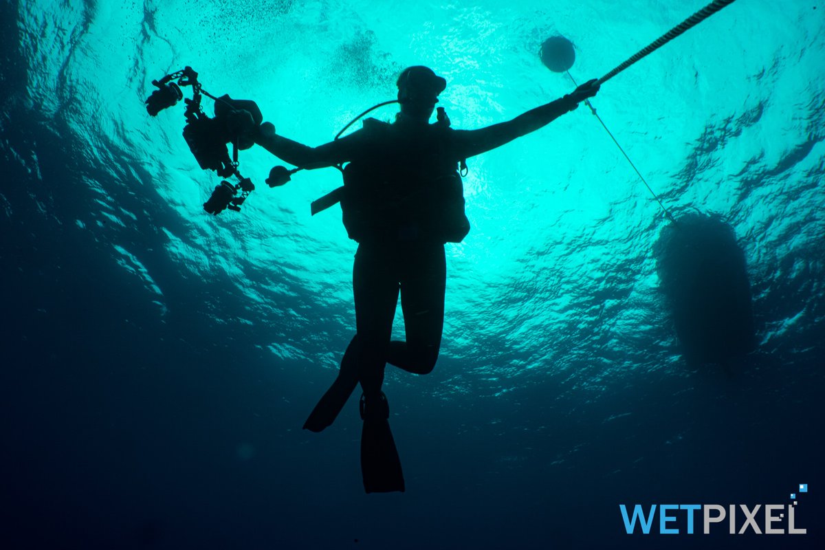 Check out the action from the final day of competition at the CMAS World Underwater Federation Photo and Video Championship in clear blue water of Porto Santo.

wetpixel.com/articles/live-…