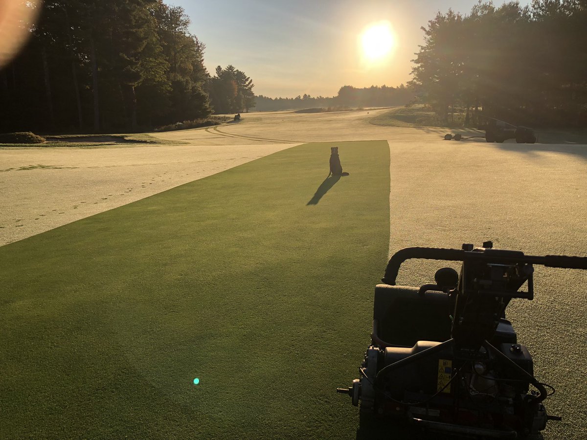 Patrick Sevigny tweet media