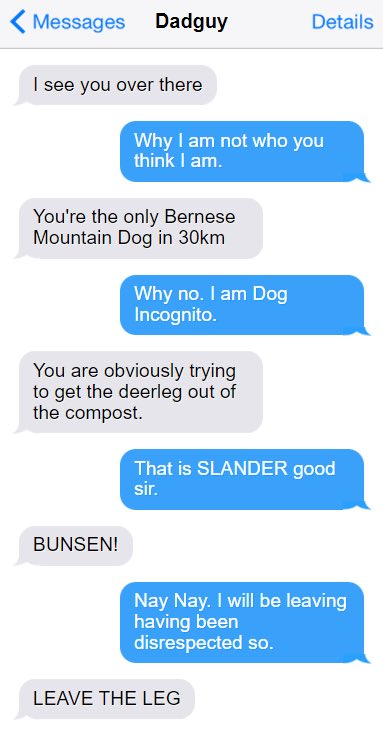 bunsenbernerbmd's tweet photo. Every week my dad saves text messages from me to the family and on Friday he shares them.  It’s Texts From Bunsen!!
#TextsFromBunsen #dogs #FridayMorning https://t.co/MUtJkDZRfj