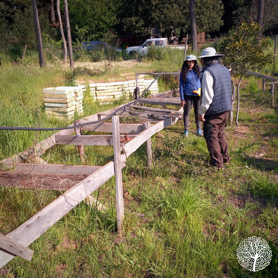 Fundación El Árbol tweet media