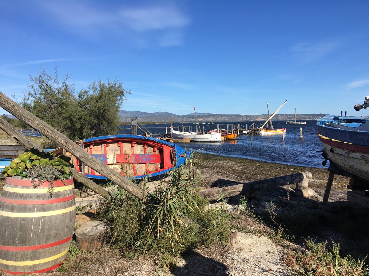 Les résidents sur le site de la Bonança, un espace naturel préservé sur l’étang de Salses-Leucate, oú sont restaurées les fameuses barques catalanes. Merci au président de l’association, M. Salaun, pour ses limpides et passionnantes explications.