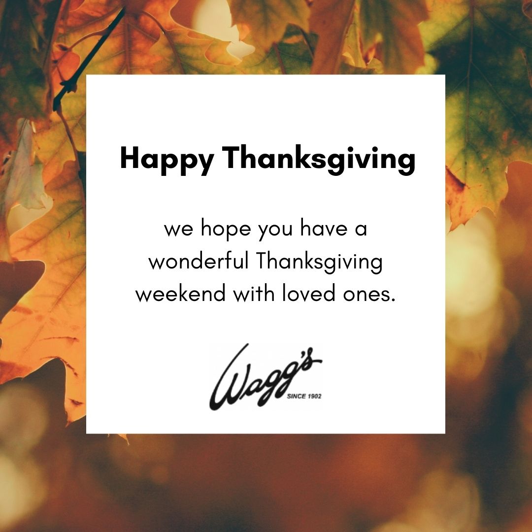 WaggsLTD's tweet photo. From the entire Wagg’s team to all of our wonderful customers, we are wishing you all a great Thanksgiving! 
.
.
#HappyThanksgiving #ThanksgivingWeekend #Thankful https://t.co/6uiLDhGK7R