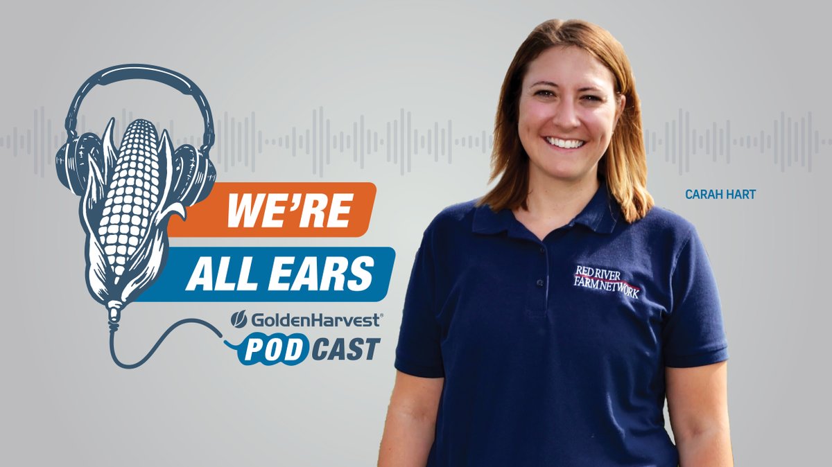 GldnHarvest's tweet image. Help us give a big Golden Harvest welcome to the #WereAllEars podcast host, Carah Hart. Listen in each week with Carah, a midwest native, and special guests of the Golden Harvest team.