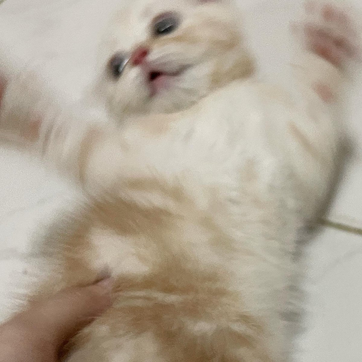 แถวบ้านมีวัดนะ เผื่อไม่รู้ เดินไปแปปเดียวถึง