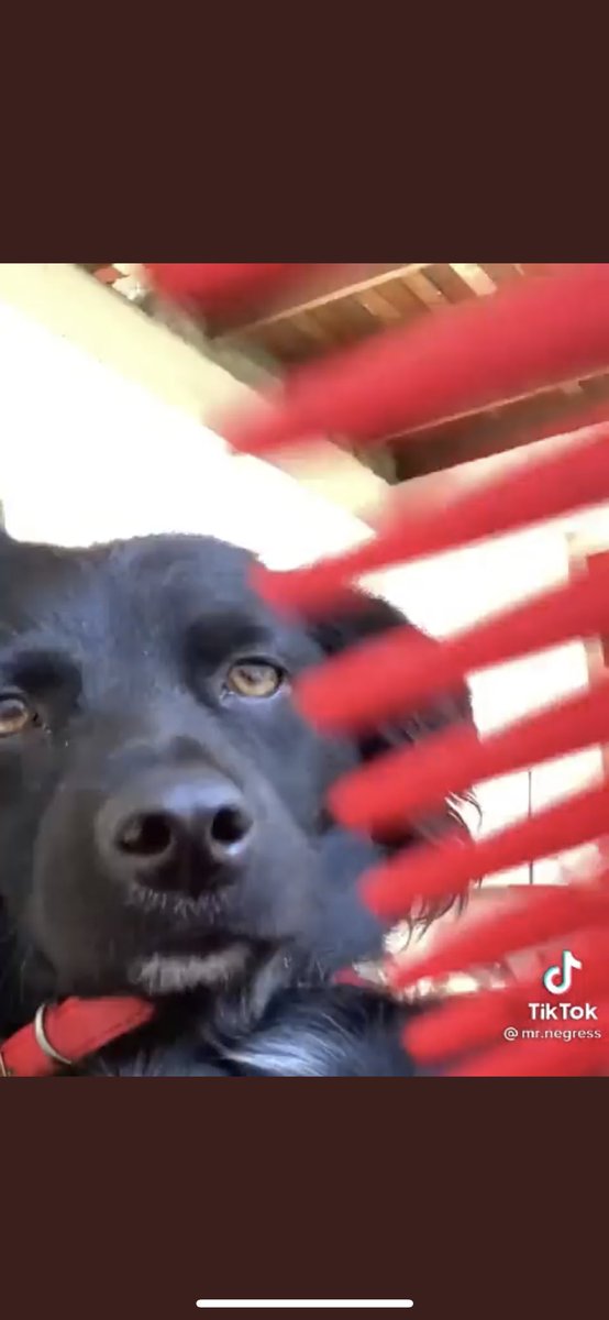 5MiTm4sTaF13x tweet media