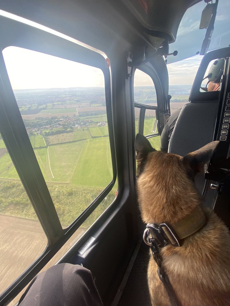 A fantastic mornings training with @ClevePol_Dogs & @NPASNorthEast for our Firearms Support Dogs. Thanks for the invite @thedogman_918