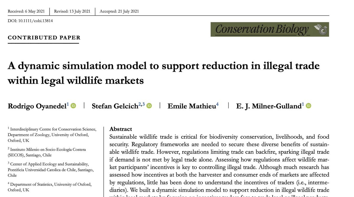 The fourth chapter of my PhD thesis is out 👏👏🥳🥳, with @EJMilnerGulland, S. Gelcich, and @MathieuEmile in @ConBiology #openaccess: 'A dynamic simulation model to support reduction in illegal trade within legal wildlife markets' Find it here: bit.ly/3AiujXS Thread->