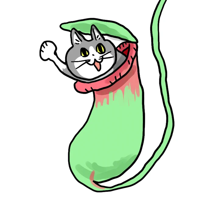 メルヘン 