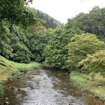 ツイートに含まれる画像