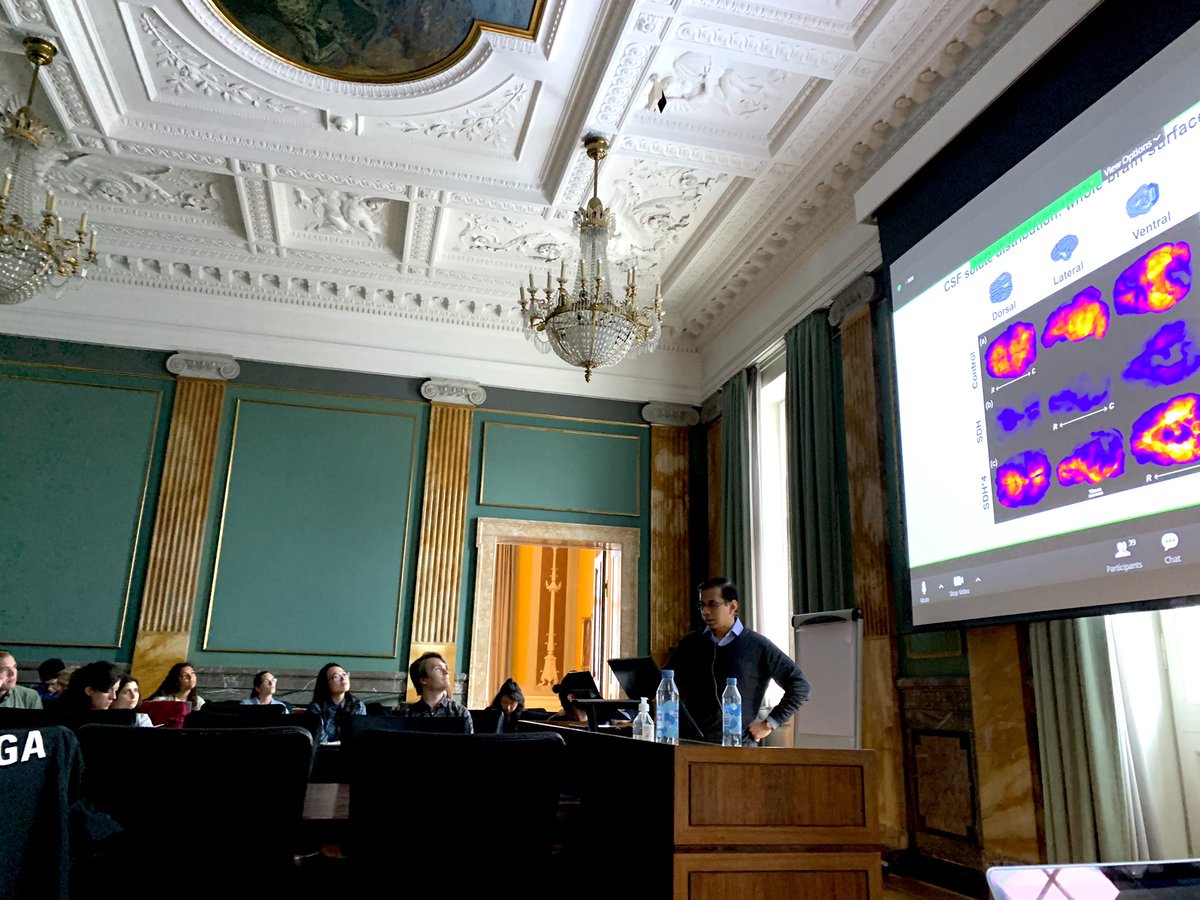 My team makes me feel proud - here <a href="/NicBechet/">Nic Bechet</a> and <a href="/NageshCShanbhag/">Nagesh Shanbhag</a> presenting their work at an international #glymphatics meeting <a href="/LabLundgaard/">Lundgaard LAB</a>