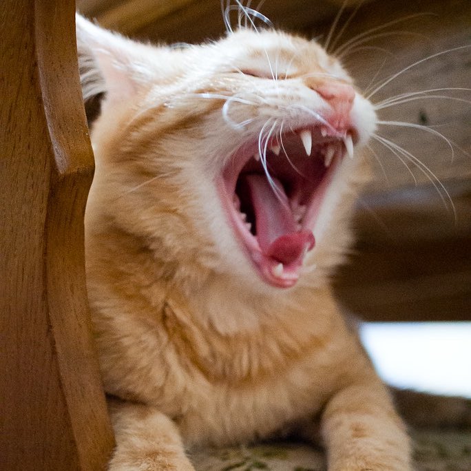 ‏ًً (@jsuhsource) on Twitter photo 