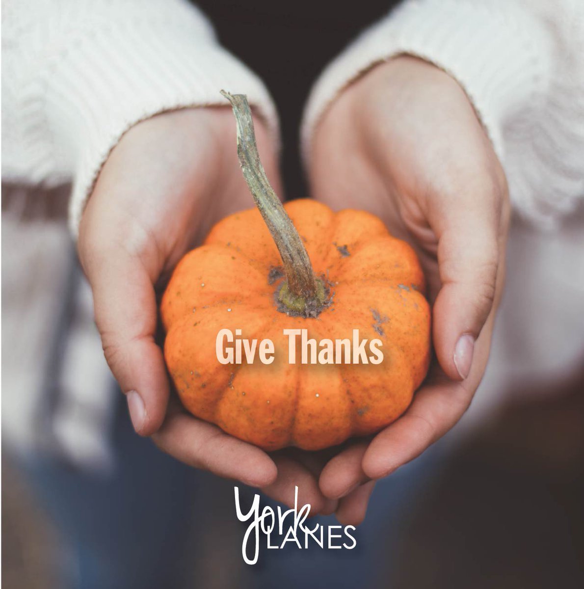 Thankful for the family we love, the friends we cherish, the York community we are supported by and the endless possibility of what goodness is yet to come. York Lanes will be closed on Monday October 11th for Thanksgiving.

#yorkuniversity #Thanksgiving