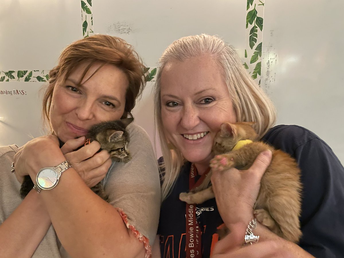 JBMS_Bears's tweet photo. The HUGEST thank you to @VCAPetHealth for supporting our campus wellness event with puppies and Kitty time! So many smiles from our staff! #vcapets https://t.co/PrE0XJy72o