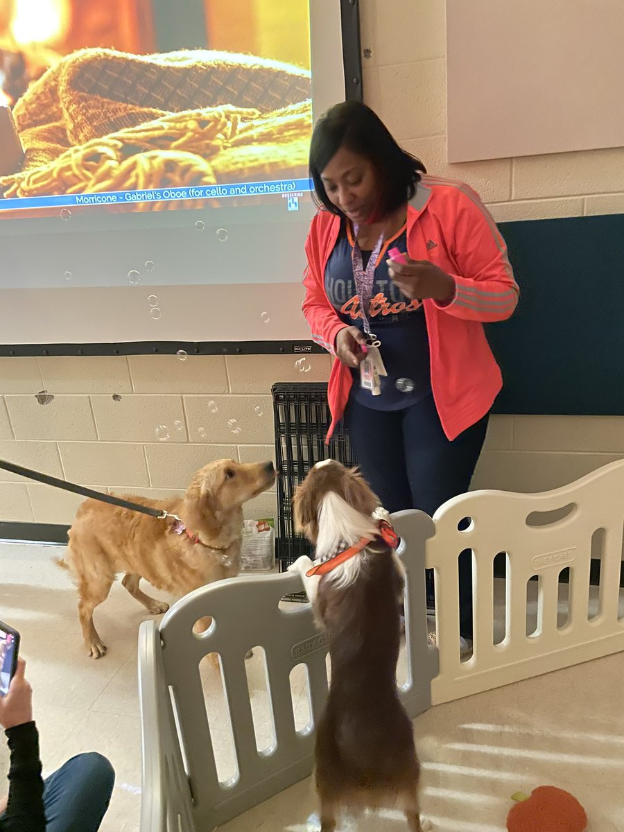 JBMS_Bears's tweet photo. The HUGEST thank you to @VCAPetHealth for supporting our campus wellness event with puppies and Kitty time! So many smiles from our staff! #vcapets https://t.co/PrE0XJy72o