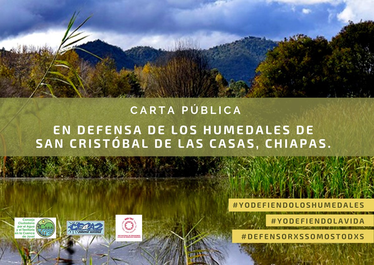 RedTDT's tweet photo. 📌Carta pública en defensa de la zona de humedales en #Chiapas 🏞️

🛑El daño ambiental que se está provocando al patrimonio mundial, exige atención urgente.

Súmate a esta petición firmando aquí 👉 https://t.co/ZAOp2LI0Bi

#YoDefiendoLosHumedales #YoDefiendoLaVida https://t.co/kwuoGTYDSy