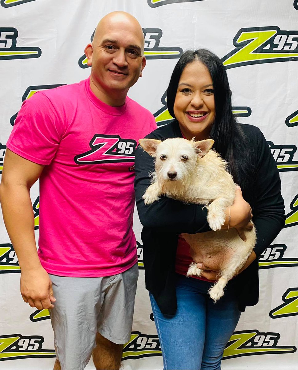 gchscc1945's tweet image. Dotty got all the cuddles from Gino and Ericka at @hotz95! Dotty is a 6-year-old Jack Russell Terrier mix and if you're a senior citizen, Dotty might be the dog for you! Visit her at 3118 Cabaniss Pkwy or call 361-225-0845 fore more about Dotty! #hotz95 #coastlifecreditunion