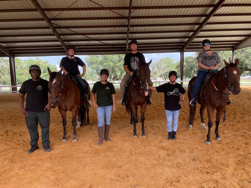 OrangeCoSheriff's tweet photo. Congratulations! Some of our supervisors have successfully completed the 20 hour introduction to Mounted Patrol Training. Our Four-Legged friends helped walk them though the process. #mountedpolice #Mountedtraining https://t.co/PDh0CZCLvw