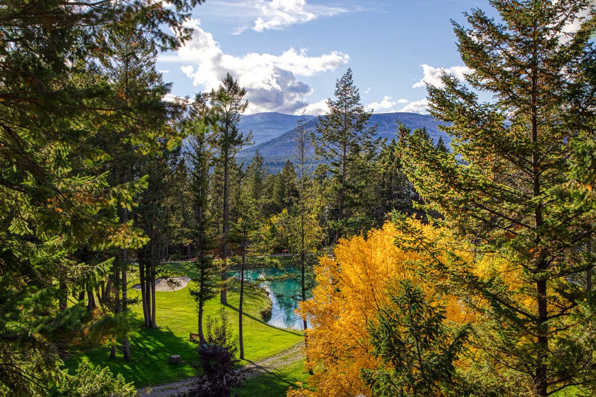 FHSresort's tweet photo. Mountainside Magic !! ππβ°οΈβ³
#MountainsideGolfCourse #MountainsideVacationVillas #FallColours #FHSRmemories #FairmontHotSpringsResort #KootenayRockies #CanadianRockies #ColumbiaValley
π· @ChrisConwayca https://t.co/FESXSTHXBm