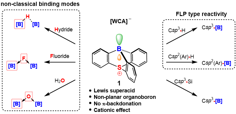 Dr_Berionni's tweet photo. Congratulations to @ArnaudOsi and @AurelienChard. Article just accepted in @angew_chem (https://t.co/jcBPX82Vjs) on Non-Planar Boranes, C-H bonds activation, new binding modes at boron and FLP mediated borylations. Thanks to @Unamur, @DMahautChem, @LCT_UNamur and @lfusaro_NMR. https://t.co/4WdMRzo6oH