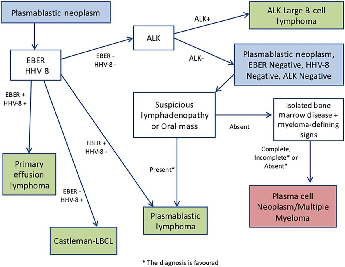 EagleMyeloma's tweet photo. Plasmablastic lymphoma vs. #myeloma - best diagnostic algorithm I've seen.  #mmsm https://t.co/ntQ90abZH1 https://t.co/1TfPGdhNPg