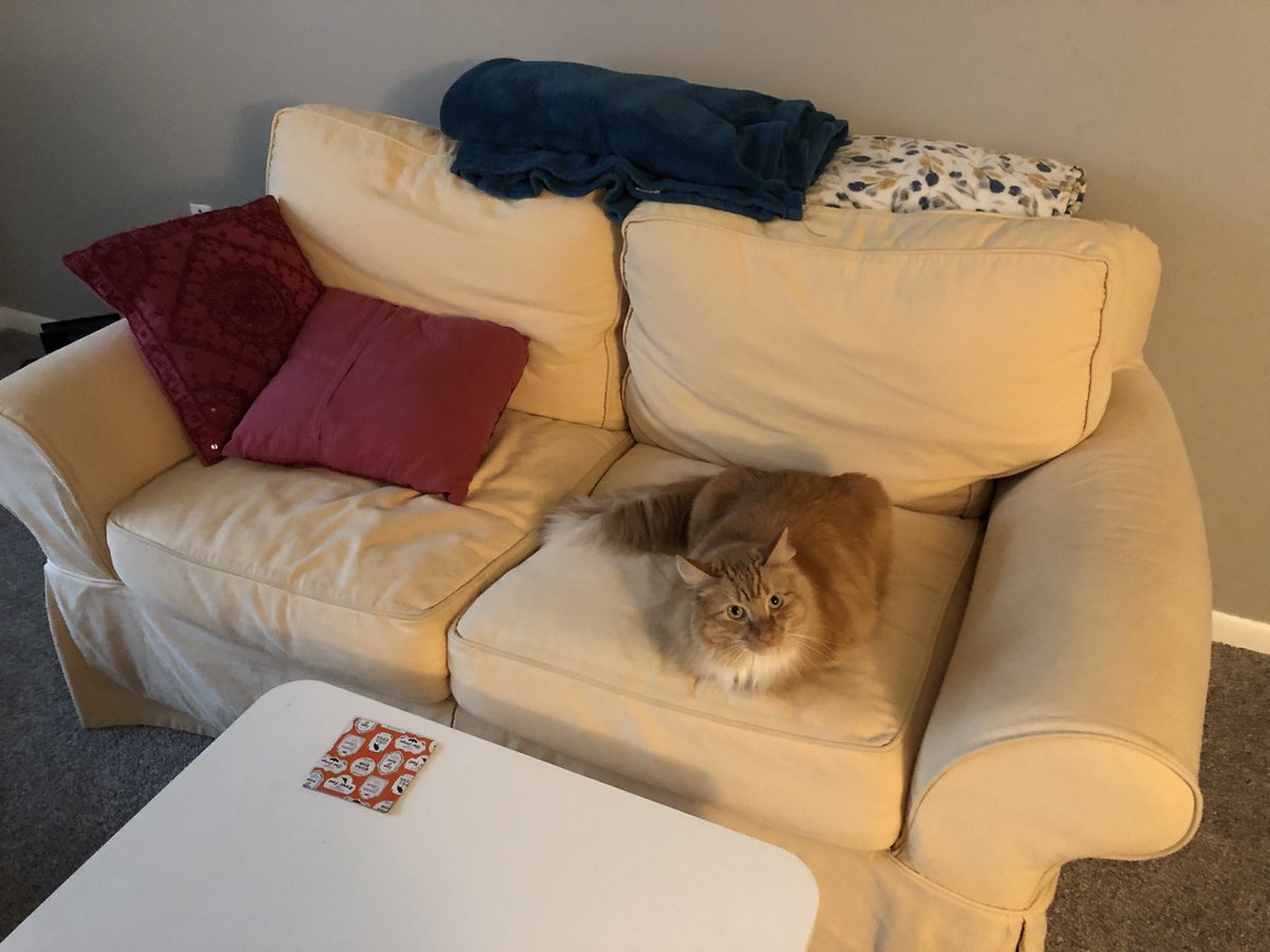 eedee_dear's tweet image. sorry. no    Room for mommomay.