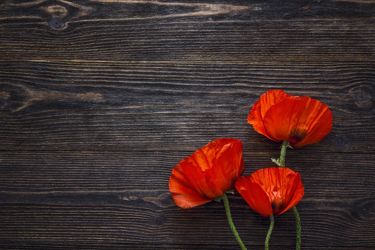 thehawthcrawley's tweet photo. We would love you to join us as we mark the centenary of the first Inter-Allied Poppy Day @thehawthcrawley with our brand new fascinating, poignant, & beautifully written production - The Poppy Red.
Book here: https://t.co/2nsi0y9ilh
#ThePoppyRed #theatre #crawley #sussex https://t.co/A1Z8xSjU2f