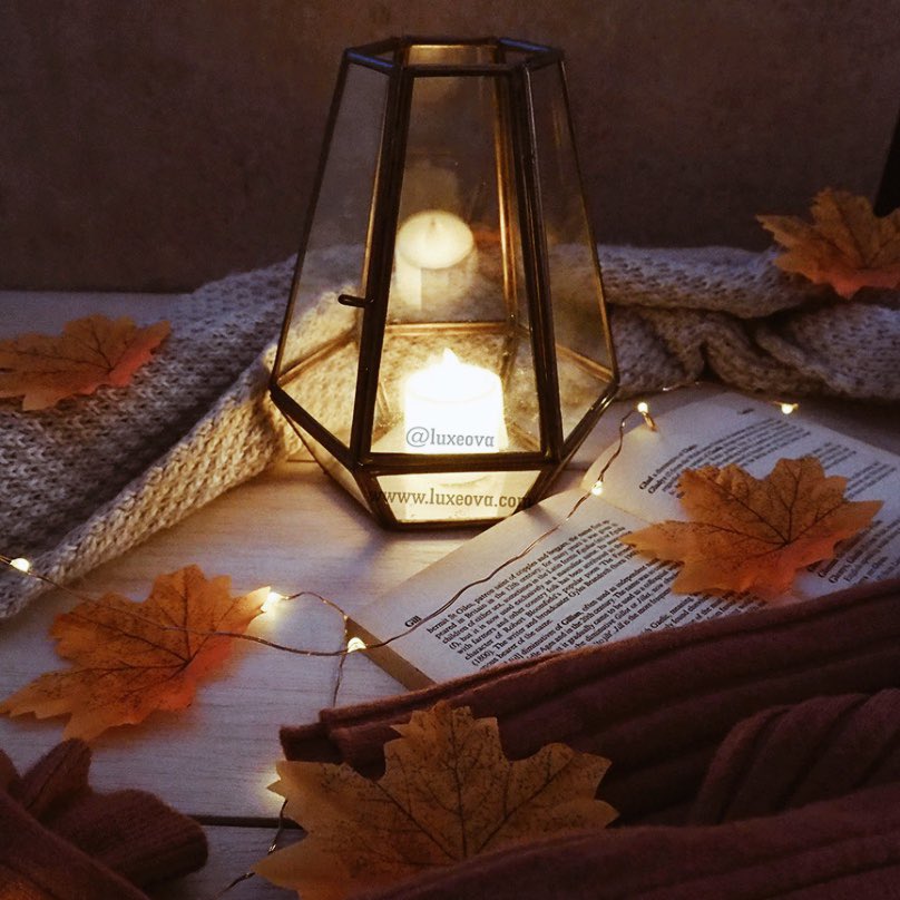 luxeova's tweet photo. Glass lantern shop at https://t.co/OysrEe40dE #autumnfalls #Autumnvibes #Thanksgiving #thanksgivingvibe #thanksgivingdecor #autumdecor #halloween2021 #tealight #lantern #glasslantern #glasscandleholder #falldecoration #etsyseller #etsyshop #etsyfinds https://t.co/XjzwdTe82h