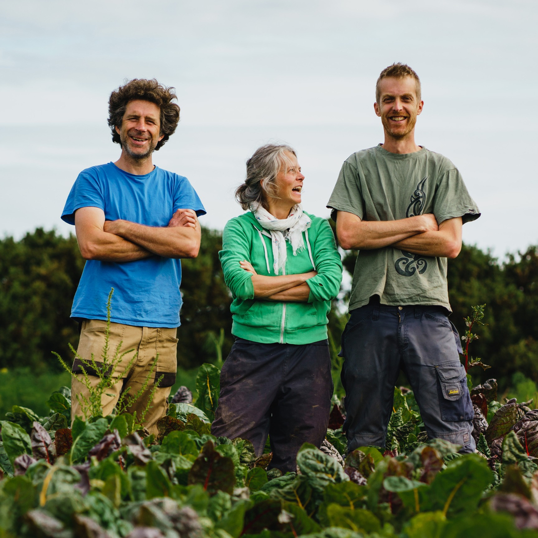 Our veg stall heroes, The Goonown Growers, have just added some impressive polytunnels to their market garden on the outskirts of St Agnes. This will extend the growing year, meaning even more delicious, organically-grown fresh veg here at market. You can find out more about this