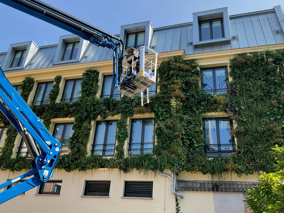 Autumn-prep in progress at the Nox Hotel! After lots of plant growth during the summer, this SemperGreenwall in Utrecht, the Netherlands has been checked and pruned by our maintenance crew. Ready for a new season of green goodness! #SemperGreenwall #livingwalls #Utrecht