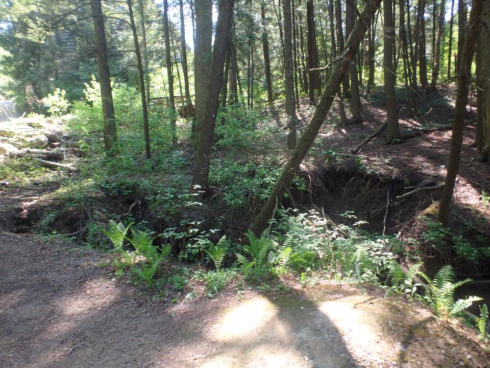 TRCA_HQ's tweet photo. TRCA and the @mcacgallery are conducting erosion control works to protect gallery property and trail infrastructure. Construction will begin on October 12 and will result in temporary trail closure.

Learn more at https://t.co/ne3KTHmsl4 #ErosionControl https://t.co/0kdHlOdIQw