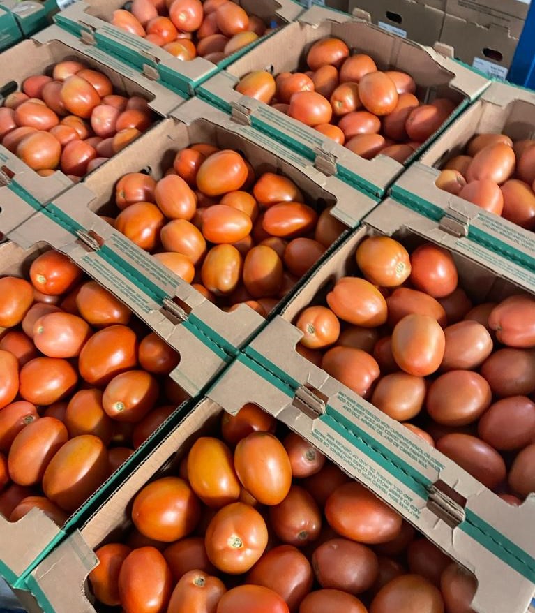 TripleHProduce's tweet photo. Looking for the best quality in tomatoes? 🍅👀 Look no more!...Give us a call 📲956-782 5128 or 📧 us at sales@tripleh.com.mx🚛💨
#TripleHProduce #NowInSeason #FreshProduce https://t.co/W8Cr9b9mUu