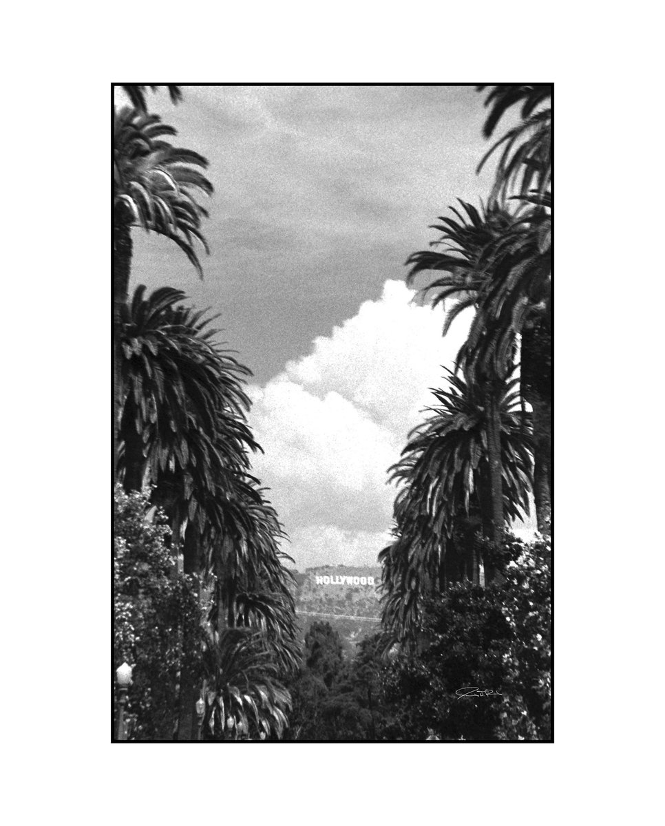 MachineSharkPro's tweet image. Windsor Square.

9/9/2021

.
.
.

#35mm #35mmfilm #kodak #trix400 #35mmphotography #hollywood #losangeles #california #usa #wanderlust #travel #travelphotography #redfilter #monochrome #bw_crew #analogphotography #photooftheday #analog #filmcommunity #shotonfilm #shootfilm