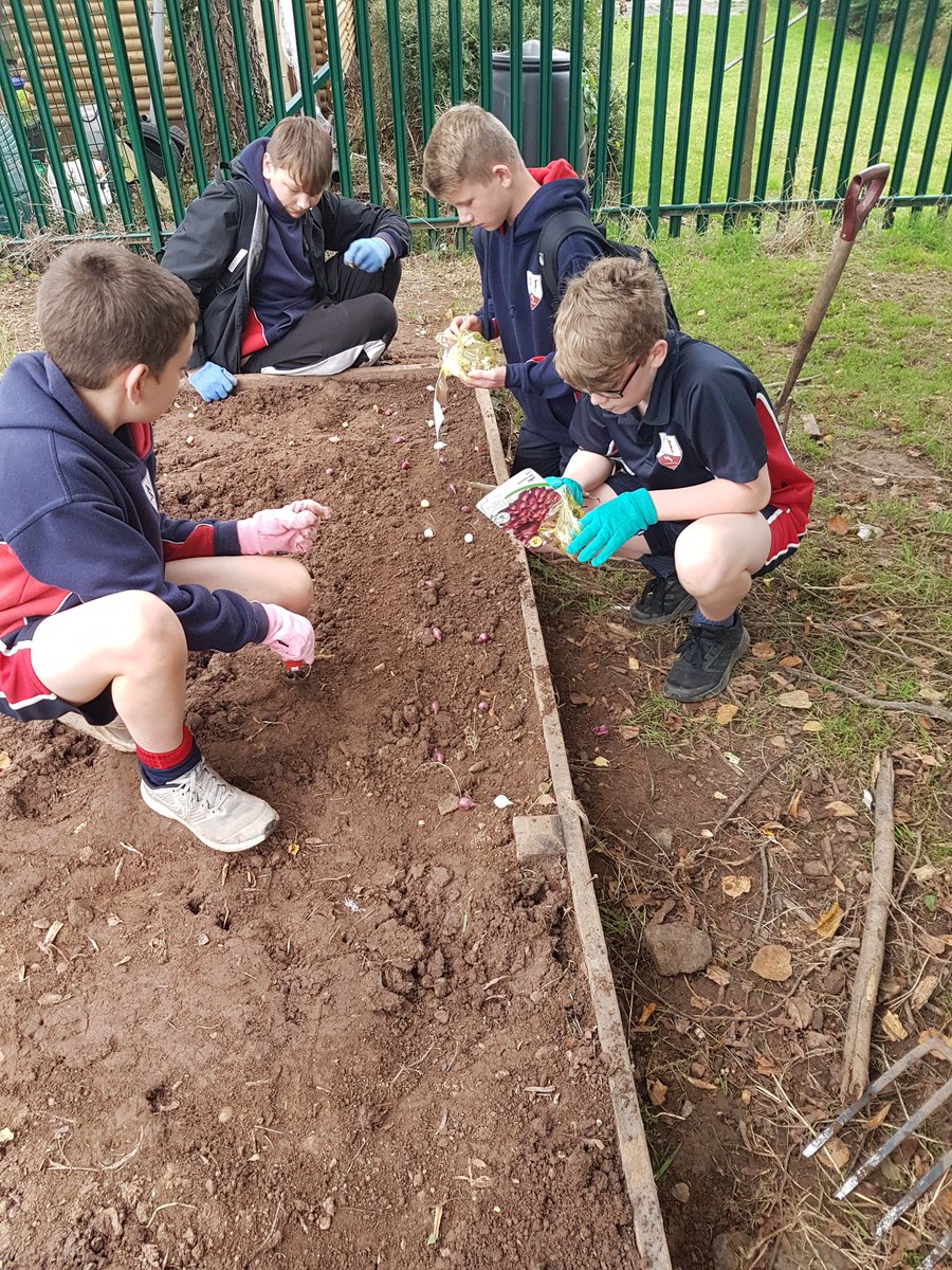 Gardening club @wyedeanschool sorting out the planters and planting onions. #ecoclub #gardening #allotment #onions #pedagoofriday #outdoorlearning