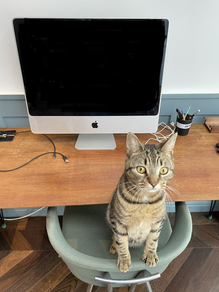 Liesl has promised me 1000 words by teatime.