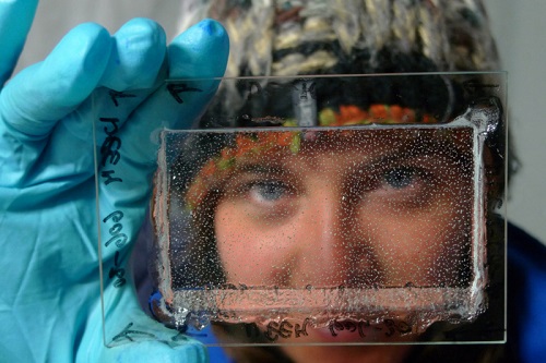 IPSL_outreach's tweet photo. [#IPSL_Info] DEEPICE : les carottes glaciaires, ces témoins des climats passés
Fin 2021 : @deepice_project un projet européen de recherche et de formation de 15 doctorants venant de 9 pays différents
https://t.co/op9a9FBWdt
#LSCE_IPSL @INSU_CNRS @CEAParisSaclay @UVSQ_Research https://t.co/DWlJqyHStX