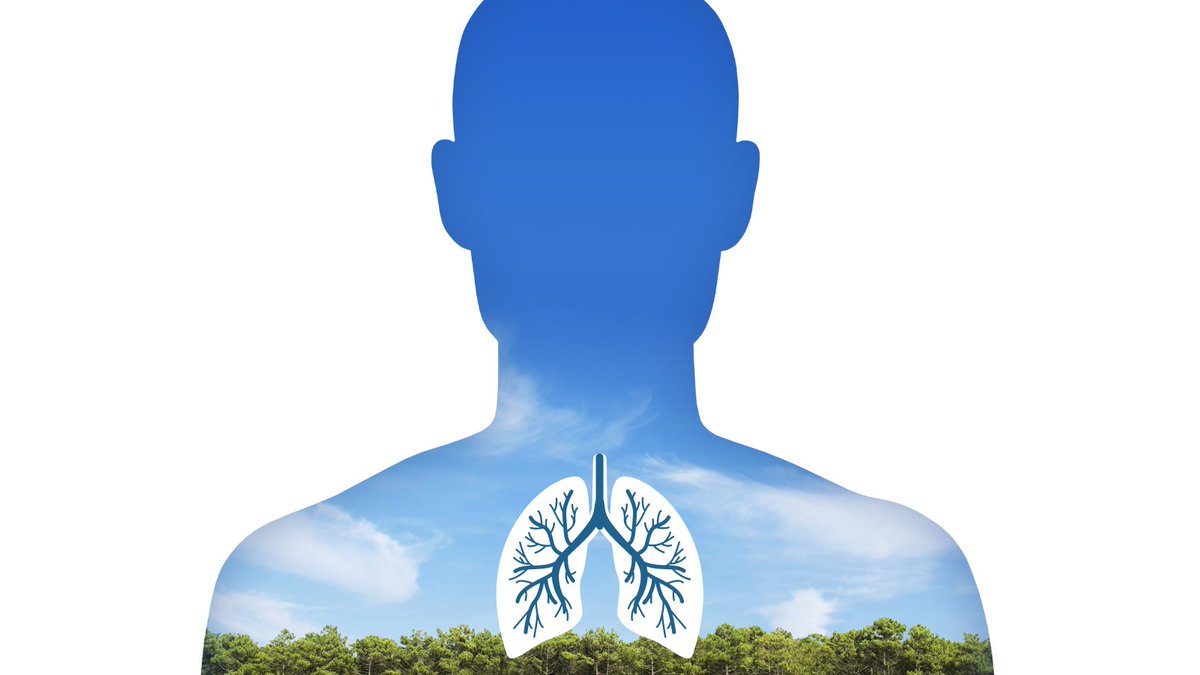 INNOAIR1's tweet photo. 🇪🇺 The EU is reviewing its air quality rules in order to improve overall EU legislation for clean air, to propose means to strengthen air quality monitoring, to help local authorities achieve cleaner air.
💚INNOAIR aims at achieving the same goal - to help us breathe easier! https://t.co/CceNmfE2vT