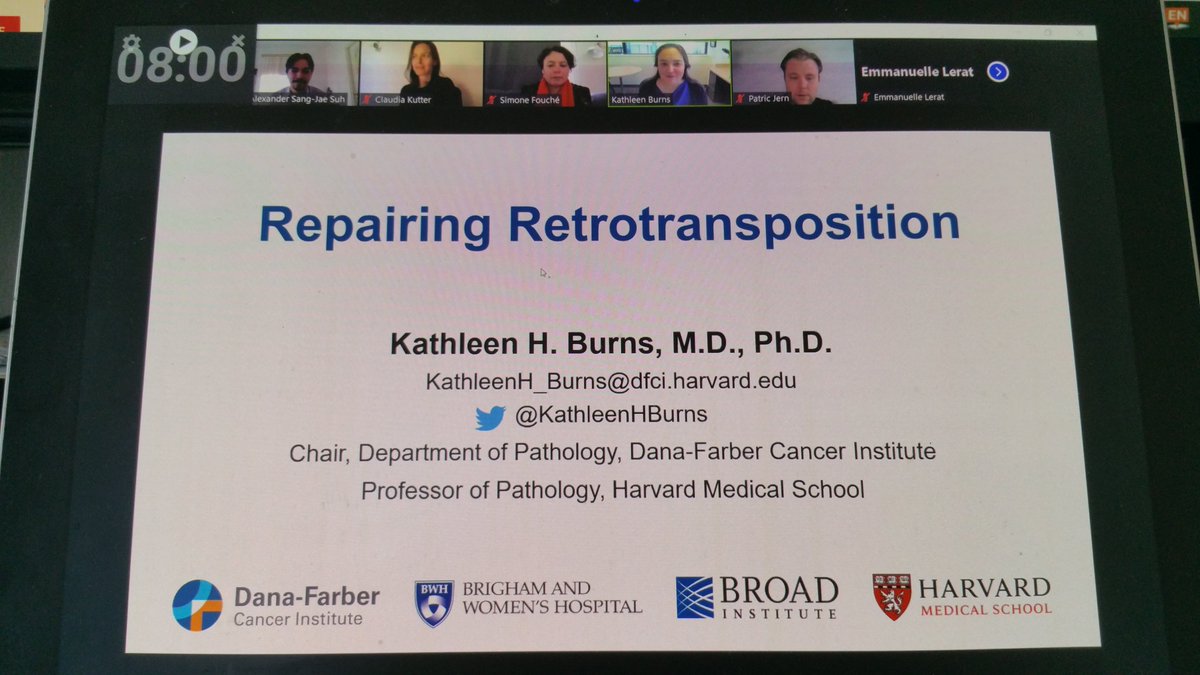 alexander_suh's tweet image. @KathleenHBurns kicks of day 2 of #UppTransposon2021 with a fantastic talk on LINE-1 and cancer - and she is hiring! #transposon