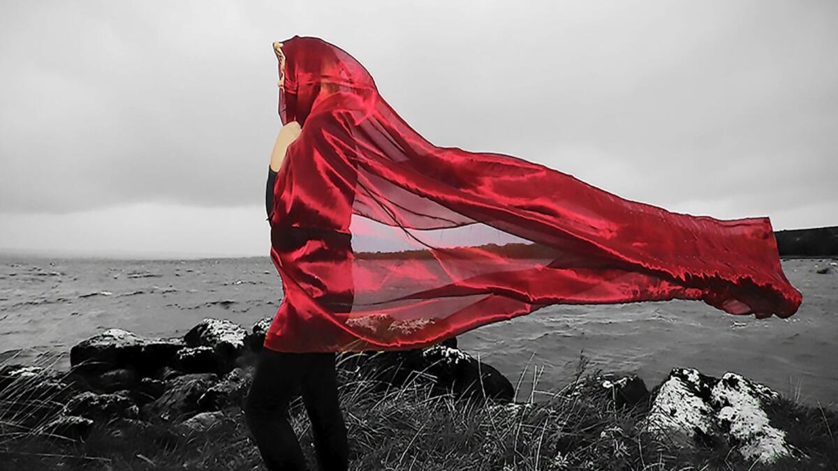 Discover Lough Derg tweet media