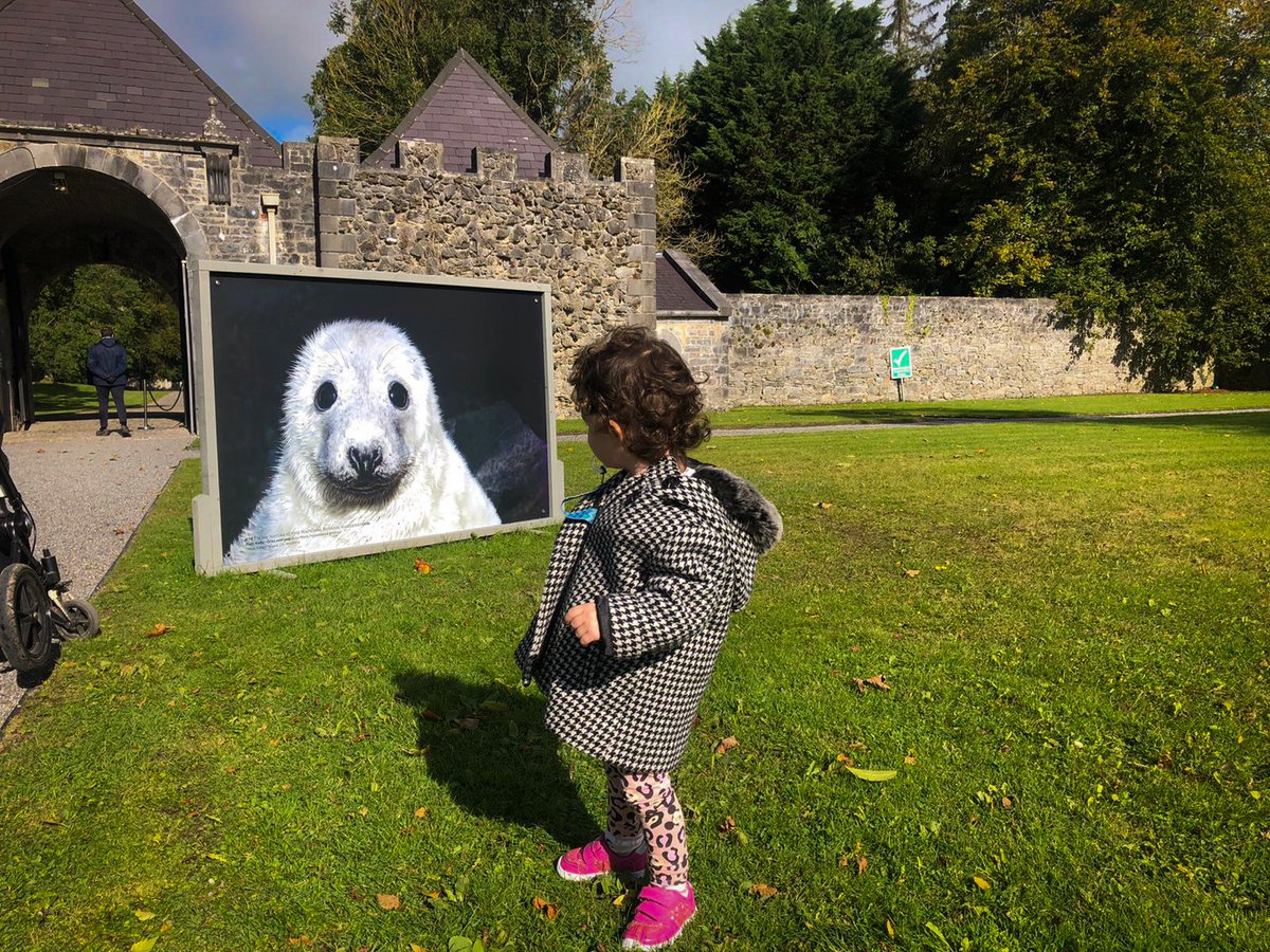 Discover Lough Derg tweet media