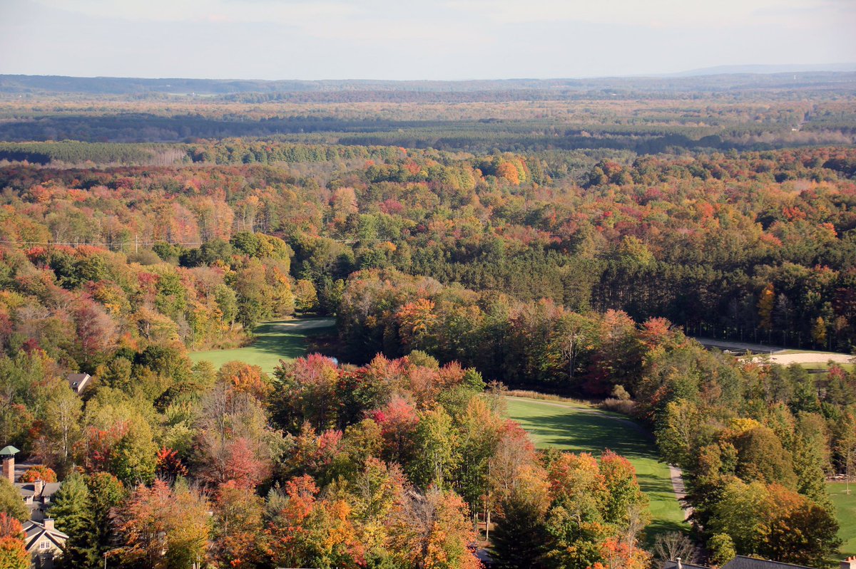 CrystalMountain's tweet photo. Our #FallColor meter is hovering around the midway point this week. Peak colors will be on their way soon! π #fallcolorfriday #crystalmountainmi https://t.co/HzlTA2kQLi