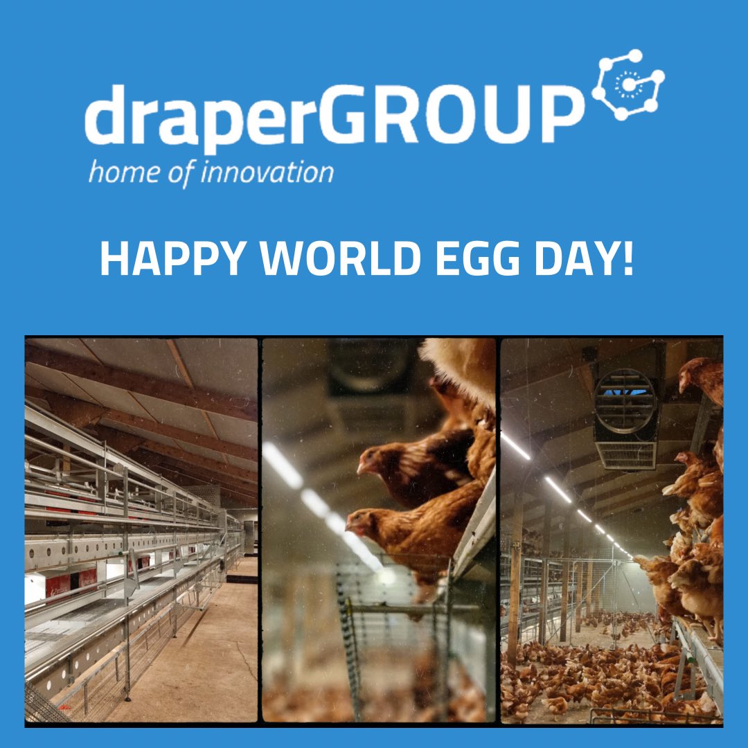 draperGROUP tweet media